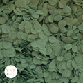 Dark Olive - 5 x Large Handfuls 25g