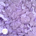 Medium Lavender - 5 x Large Handfuls 25g