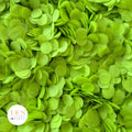 Lime Green - 5 x Large Handfuls 25g