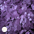 Dark Hot Purple - 5 x Large Handfuls 25g
