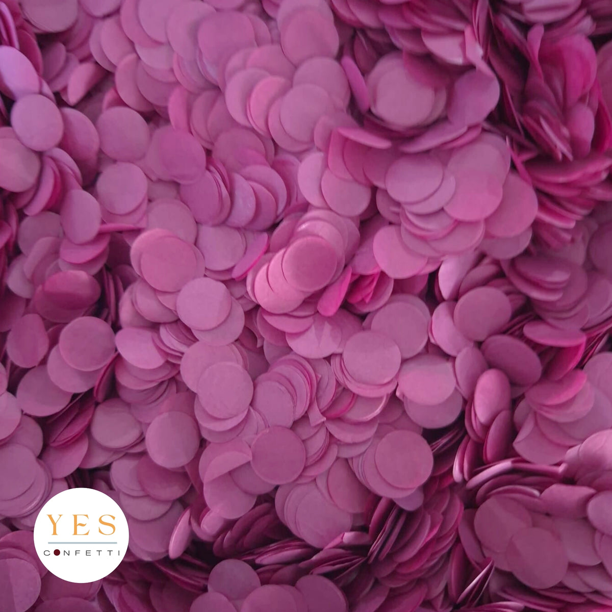 Plum Fruit - 5 x Large Handfuls 25g