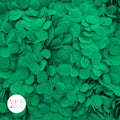 Green - 5 x Large Handfuls 25g