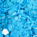 Bright Blue - 5 x Large Handfuls 25g