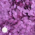 Soft Plum - 5 x Large Handfuls 25g