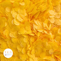 Spanish Yellow- 5 x Large Handfuls 25g