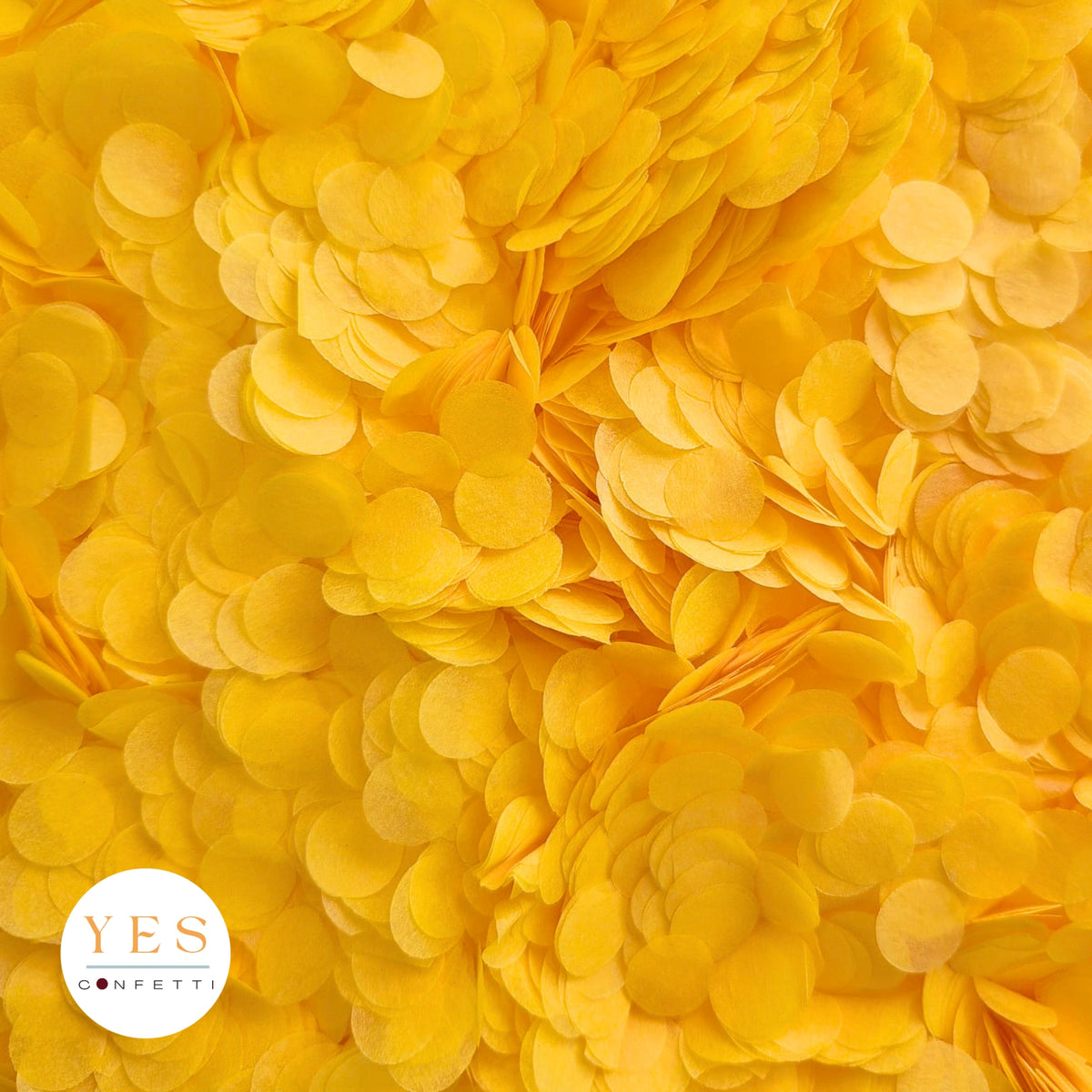 Spanish Yellow- 5 x Large Handfuls 25g