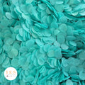 Turquoise - 5 x Large Handfuls 25g