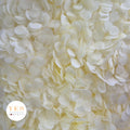 Extra Light Ivory - 5 x Large Handfuls 25g